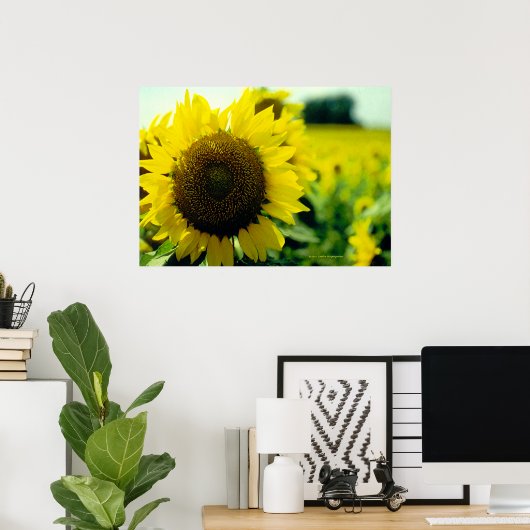 Zonnebloemdruk Poster (Thuiskantoor)