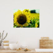 Zonnebloemdruk Poster (Keuken)
