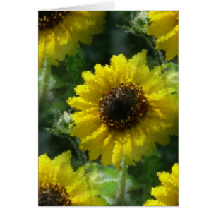 Zonnebloemen