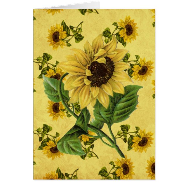  zonnebloemen (Voorkant)