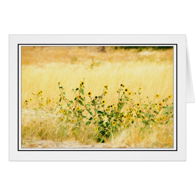 Zonnebloemen (Voorkant Horizontaal)