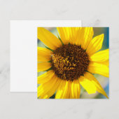 Zonnebloemen (Voorkant / Achterkant)