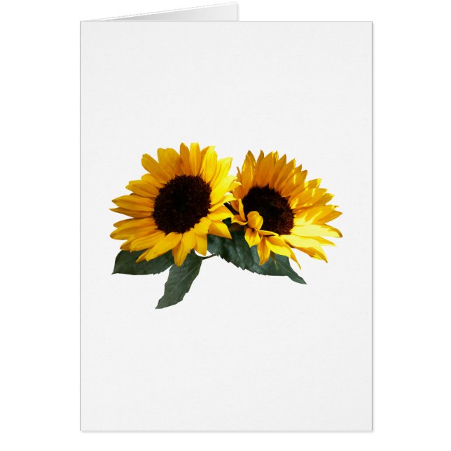 Zonnebloemen (Voorkant)