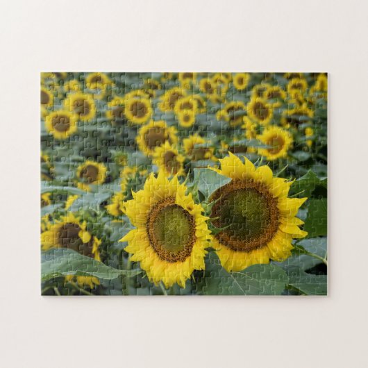 Zonnebloemen - 11 x 14 inch legpuzzel (Horizontaal)
