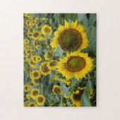 Zonnebloemen - 11 x 14 inch legpuzzel (Verticaal)