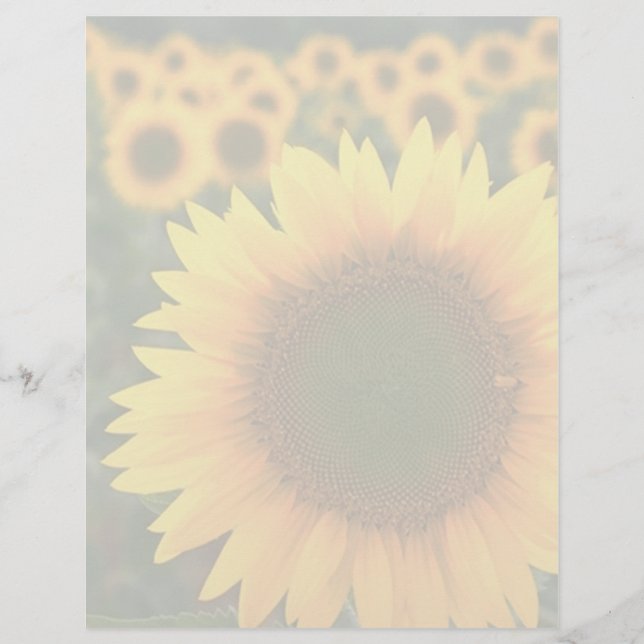 Zonnebloemen 2 (Voorkant)