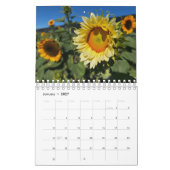 Zonnebloemen (2e editie) kalender (Jan 2027)