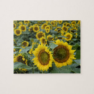 Zonnebloemen - 8 x 10 inch legpuzzel