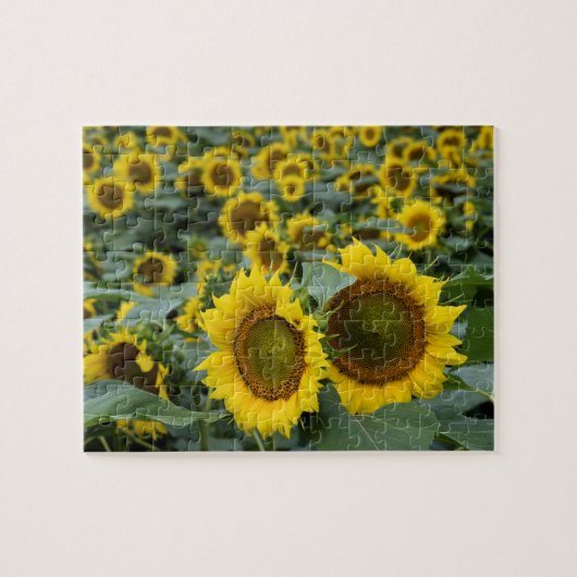 Zonnebloemen - 8 x 10 inch legpuzzel (Horizontaal)