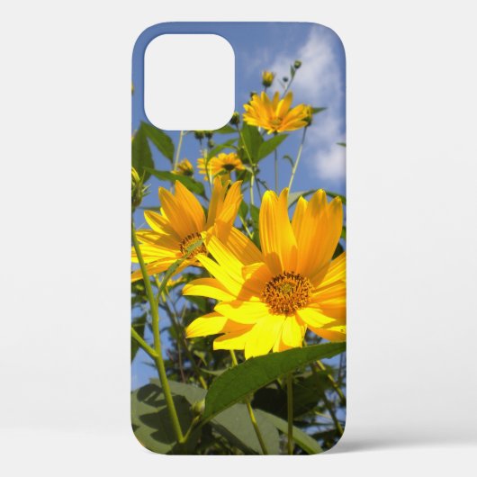 Zonnebloemen aan de hemel Case-Mate iPhone case (Achterkant)