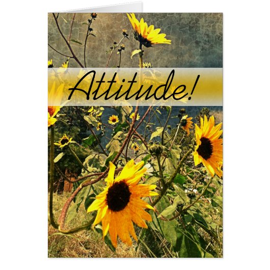 Zonnebloemen aanmoedigen voor het Storm wolkt (Voorkant)