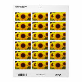Zonnebloemen Adres Etiket (Full Sheet)