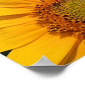 Zonnebloemen afdrukken poster (Hoek)