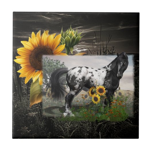 Zonnebloemen & Appaloosa Paard Tegeltje (Voorkant)