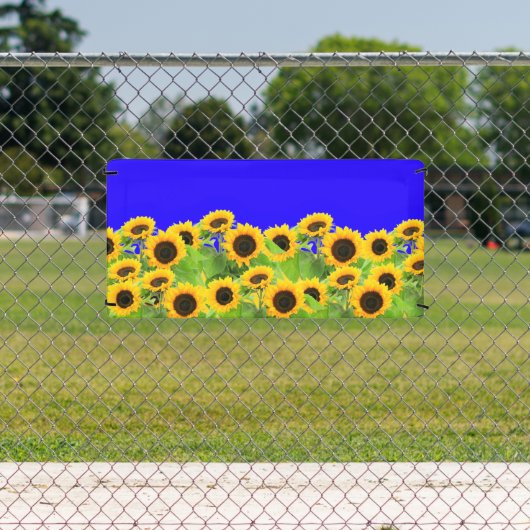 Zonnebloemen Banners Oekraïne Vlag Kleuren Onderst (Insitu)
