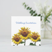 Zonnebloemen Betonprijzensets Kaart (Staand voorkant)