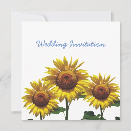 Zonnebloemen Betonprijzensets Kaart (Voorkant)