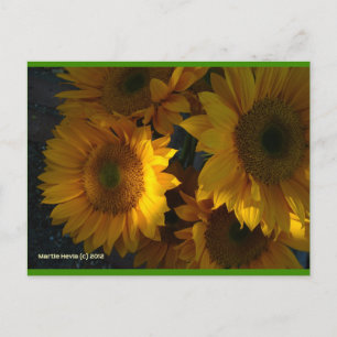 Zonnebloemen bij zonsondergang   Blue Beach Song™- Briefkaart