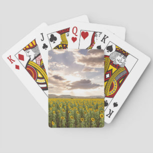 Zonnebloemen bij Zonsondergang Pokerkaarten