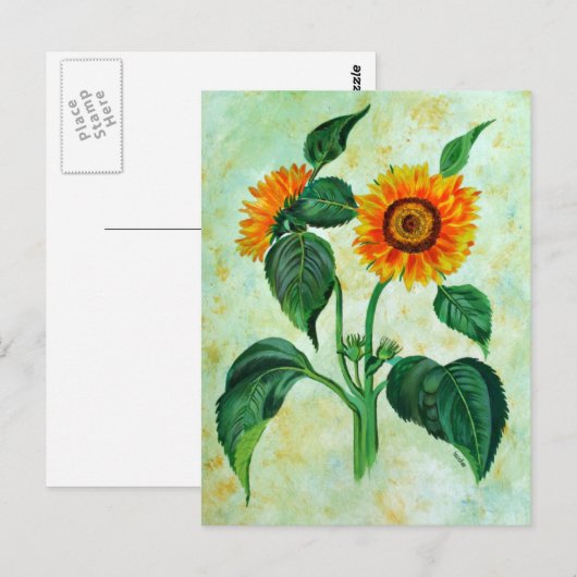  zonnebloemen Botanische Kunst Briefkaart (Voorkant / Achterkant)