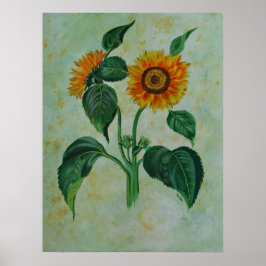  zonnebloemen Botanische Kunst Poster