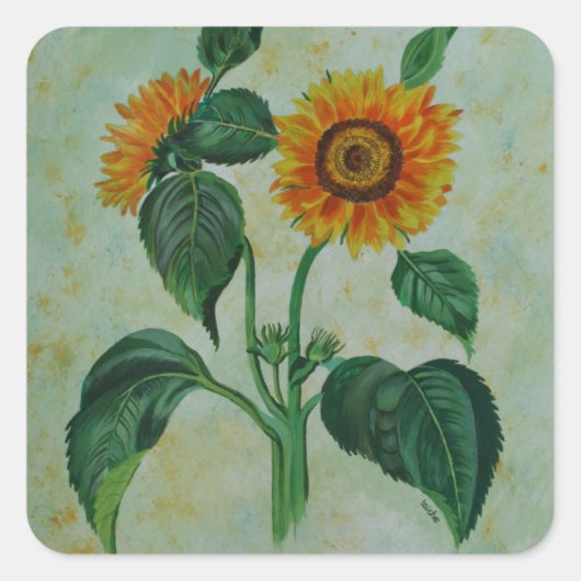 zonnebloemen Botanische Kunst Vierkante Sticker (Voorkant)