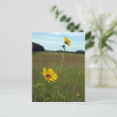Zonnebloemen Briefkaart (Staand voorkant)