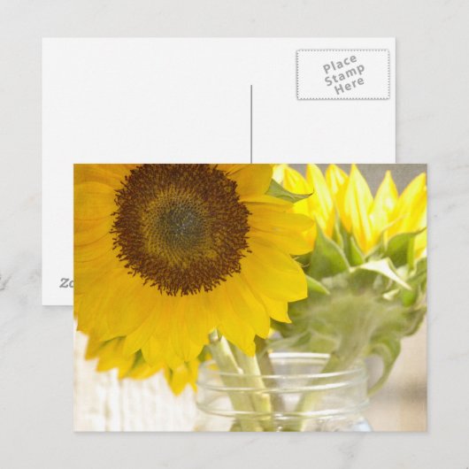 Zonnebloemen Briefkaart (Voorkant / Achterkant)