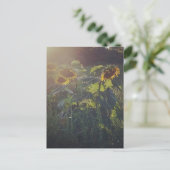 Zonnebloemen Briefkaart (Staand voorkant)