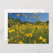 Zonnebloemen Briefkaart (Voorkant / Achterkant)