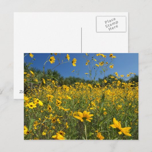 Zonnebloemen Briefkaart (Voorkant / Achterkant)