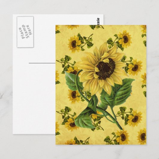  zonnebloemen briefkaart (Voorkant / Achterkant)