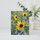 Zonnebloemen Briefkaart (Staand voorkant)