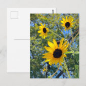 Zonnebloemen Briefkaart (Voorkant / Achterkant)