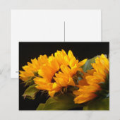 Zonnebloemen Briefkaart (Voorkant / Achterkant)