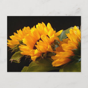 Zonnebloemen Briefkaart