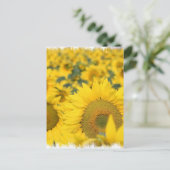 Zonnebloemen Briefkaart (Staand voorkant)