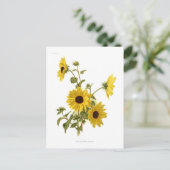 Zonnebloemen Briefkaart (Staand voorkant)