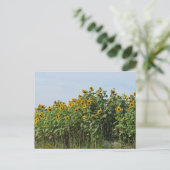Zonnebloemen Briefkaart (Staand voorkant)