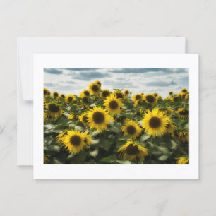zonnebloemen briefkaart