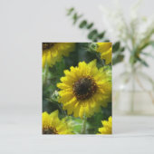 Zonnebloemen Briefkaart (Staand voorkant)