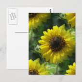 Zonnebloemen Briefkaart (Voorkant / Achterkant)