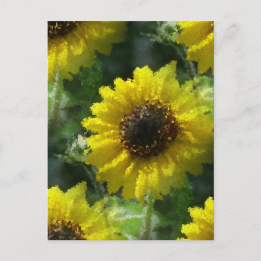 Zonnebloemen Briefkaart (Voorkant)
