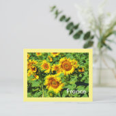 Zonnebloemen Briefkaart (Staand voorkant)