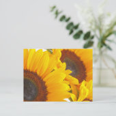 Zonnebloemen Briefkaart (Staand voorkant)