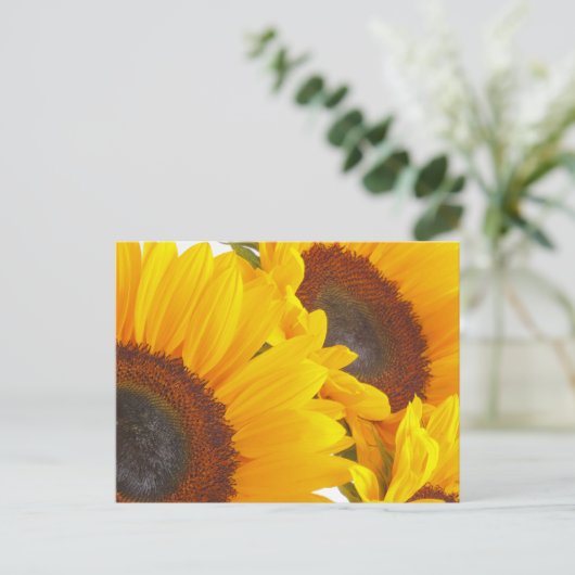 Zonnebloemen Briefkaart (Staand voorkant)