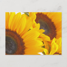 Zonnebloemen Briefkaart