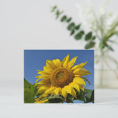 Zonnebloemen Briefkaart (Staand voorkant)