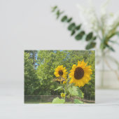 Zonnebloemen Briefkaart (Staand voorkant)