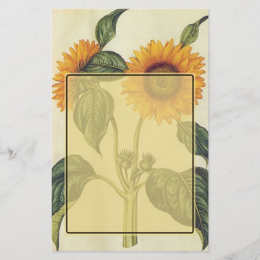 Zonnebloemen Briefpapier (Voorkant)